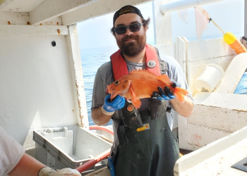 George George is a Marine Resources Management Specialist at NOAA’s Northeast Fisheries Science Center in Woods Hole, Massachusetts where he works in the Cooperative Research Branch. His primary focus is managing the environmental Monitors on Lobster Traps and Large Trawlers (eMOLT) program, but he can also be found supporting other cooperative research projects both in the workshop and at sea. George earned his BS from the University of Connecticut, his MS from SUNY Plattsburgh, and his PhD from the University of Maine. Prior to joining NOAA, George worked as the staff scientist for a commercial fishing association and as an adjunct professor at Massachusetts Maritime Academy.